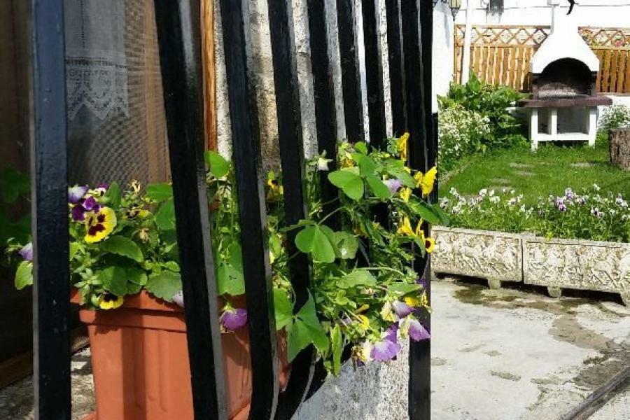 Casa Rural Zubiarena Satrustegui Eksteriør bilde